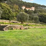 Casa Dos Macieis - Entire Main House, Entire Or Separate Wing Of Main House - Camino Santiago Direct Access & Optional Agritourism Villa Facha