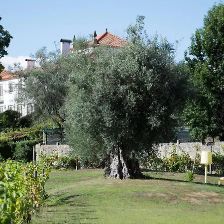 Casa Dos Macieis - Entire Main House, Entire Or Separate Wing Of Main House - Camino Santiago Direct Access & Optional Agritourism Facha
