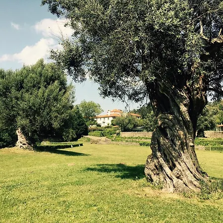 Casa Dos Macieis - Entire Main House, Entire Or Separate Wing Of Main House - Camino Santiago Direct Access & Optional Agritourism Villa Facha
