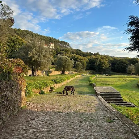 Casa Dos Macieis - Entire Main House, Entire Or Separate Wing Of Main House - Camino Santiago Direct Access & Optional Agritourism *