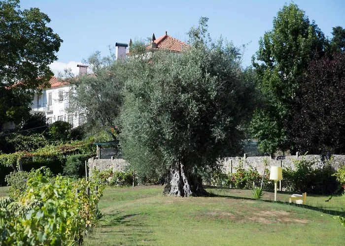 Casa Dos Macieis - Entire Main House, Entire Or Separate Wing Of Main House - Camino Santiago Direct Access & Optional Agritourism Facha