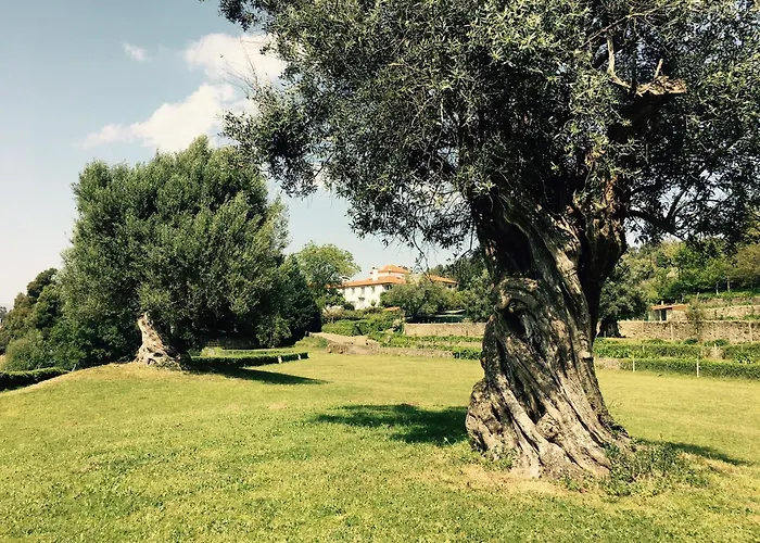 Casa Dos Macieis - Entire Main House, Entire Or Separate Wing Of Main House - Camino Santiago Direct Access & Optional Agritourism Villa Facha