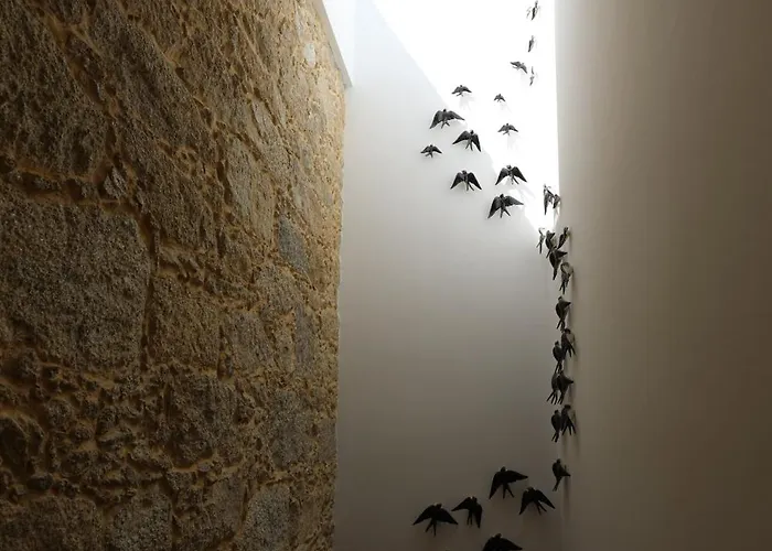 Casa Dos Macieis - Entire Main House, Entire Or Separate Wing Of Main House - Camino Santiago Direct Access & Optional Agritourism Facha