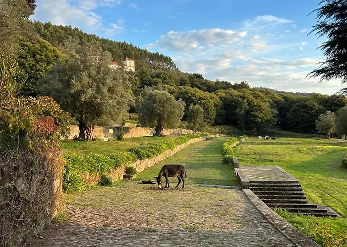 Casa Dos Macieis - Entire Main House, Entire Or Separate Wing Of Main House - Camino Santiago Direct Access & Optional Agritourism *